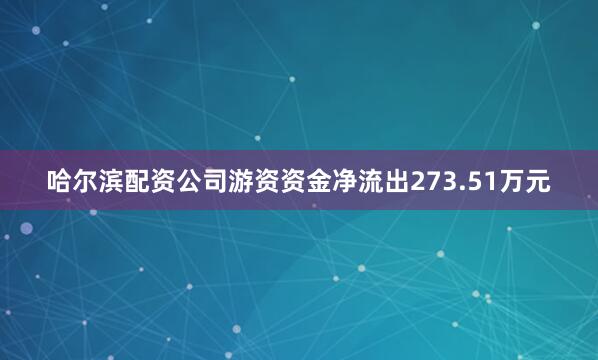 哈尔滨配资公司游资资金净流出273.51万元