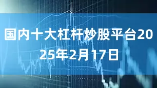 国内十大杠杆炒股平台2025年2月17日
