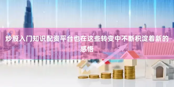 炒股入门知识配资平台也在这些转变中不断积淀着新的感悟